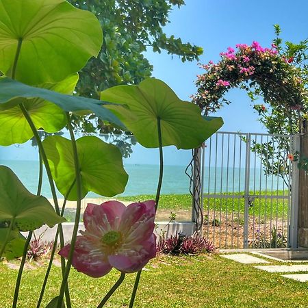 Smell rose beach garden Batu Feringgi Exterior foto