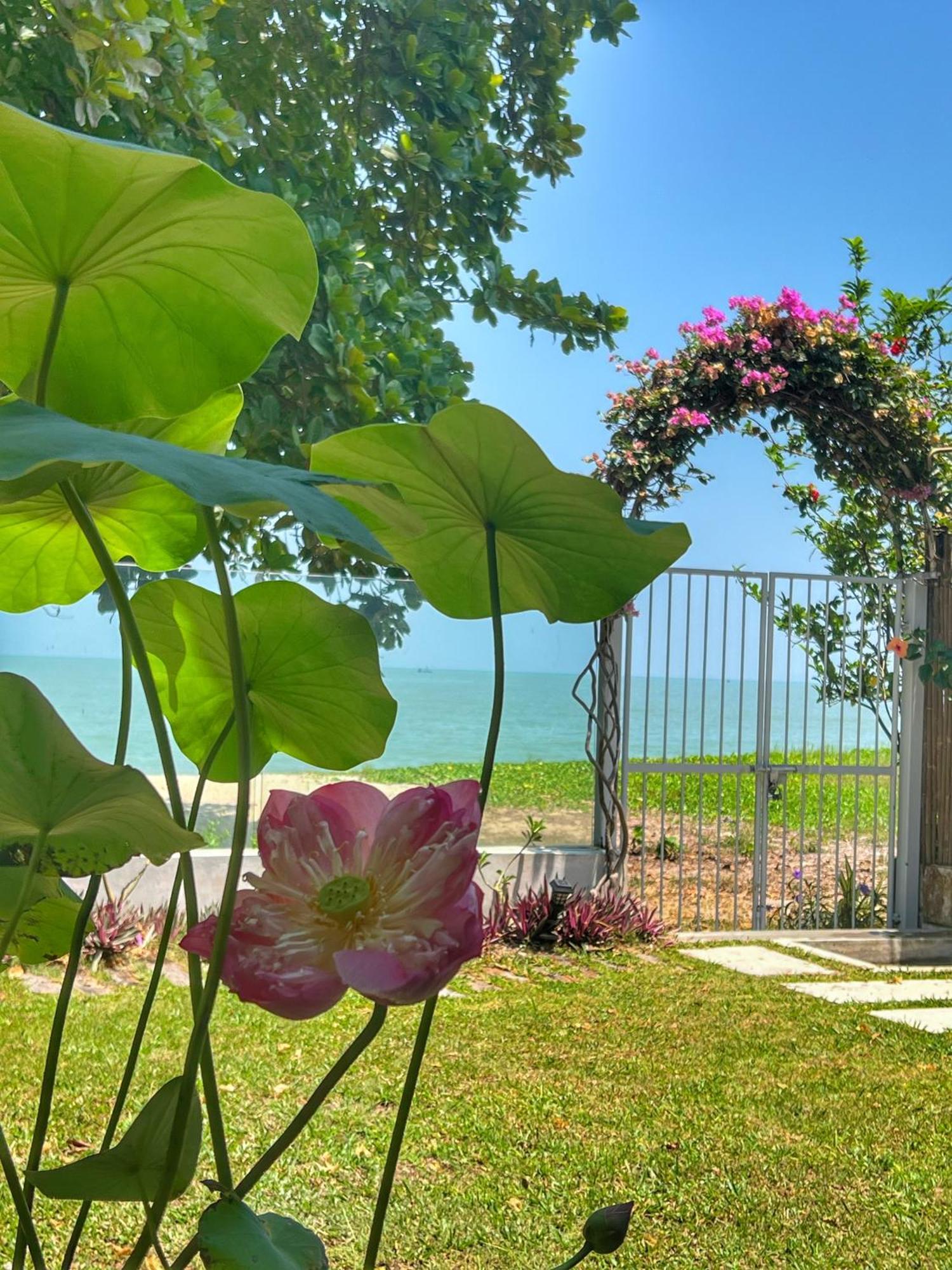 Smell rose beach garden Batu Feringgi Exterior foto