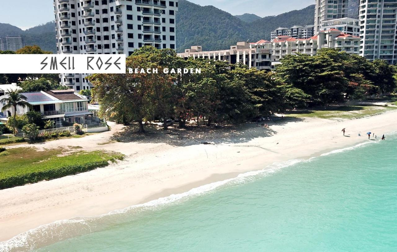 Smell rose beach garden Batu Feringgi Exterior foto